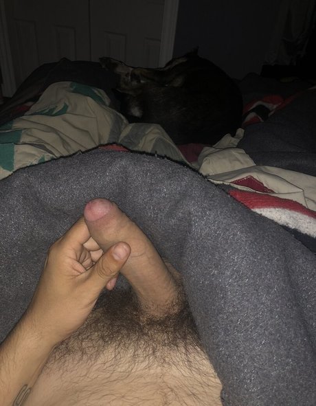 Abeardedboy photo 6