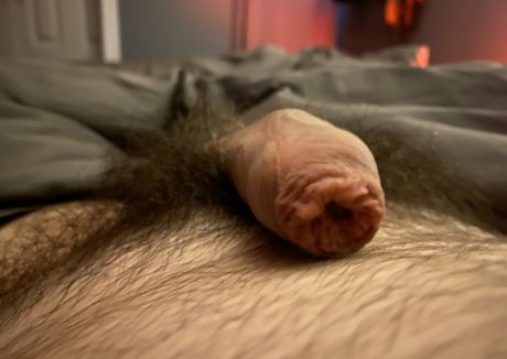 Abeardedboy photo 17