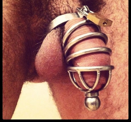 Abeardedboy photo 453