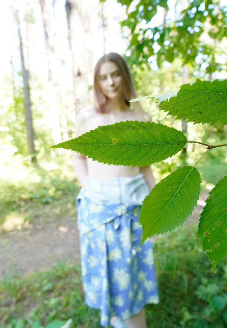Acrylickatequinn_free photo 90
