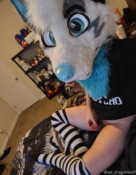 Ad_dragonwolf photo 7