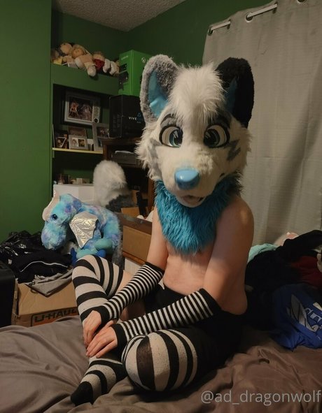 Ad_dragonwolf photo 10