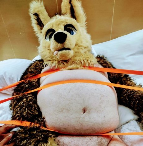 Ad_dragonwolf photo 11