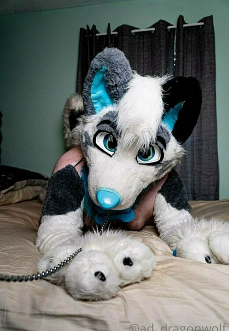 Ad_dragonwolf photo 12