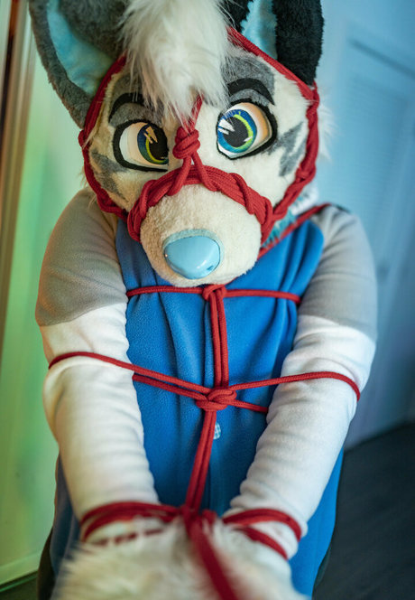 Ad_dragonwolf photo 13