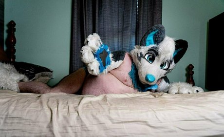 Ad_dragonwolf photo 15