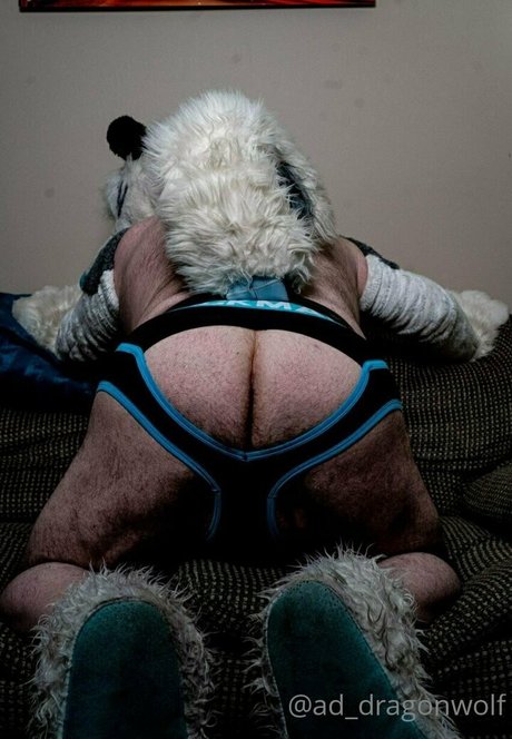 Ad_dragonwolf photo 17