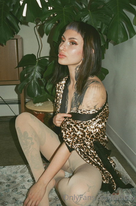 Addox photo 63