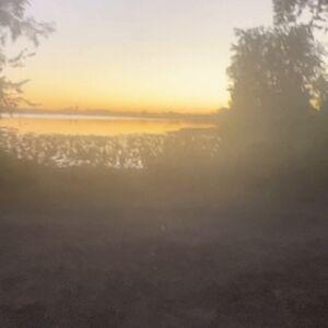 Ahanu Reed photo 16
