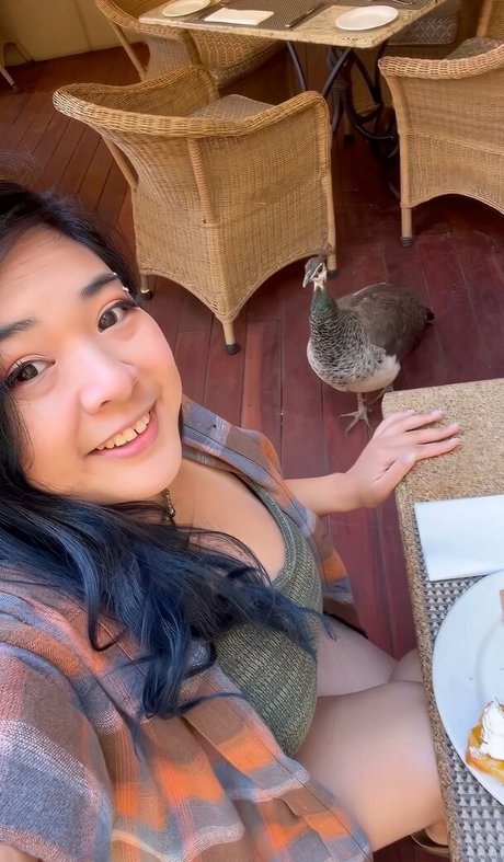 Akidearest photo 36
