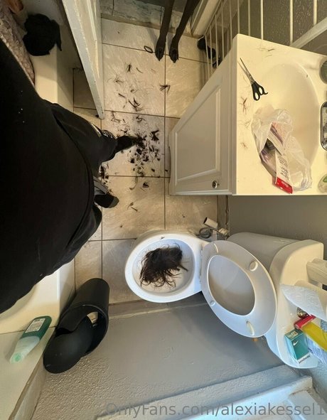 Alexiakessel1 photo 9