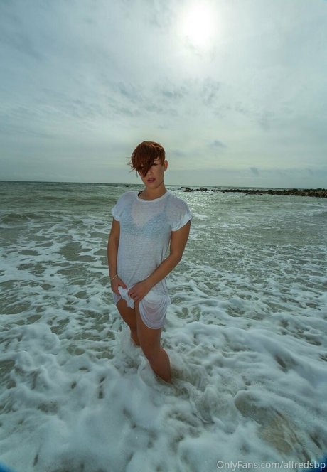 Alfredcox photo 19