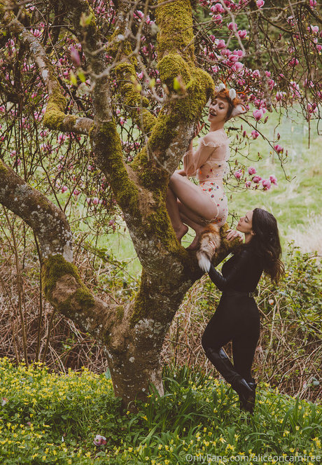 Aliceoncamfree photo 216