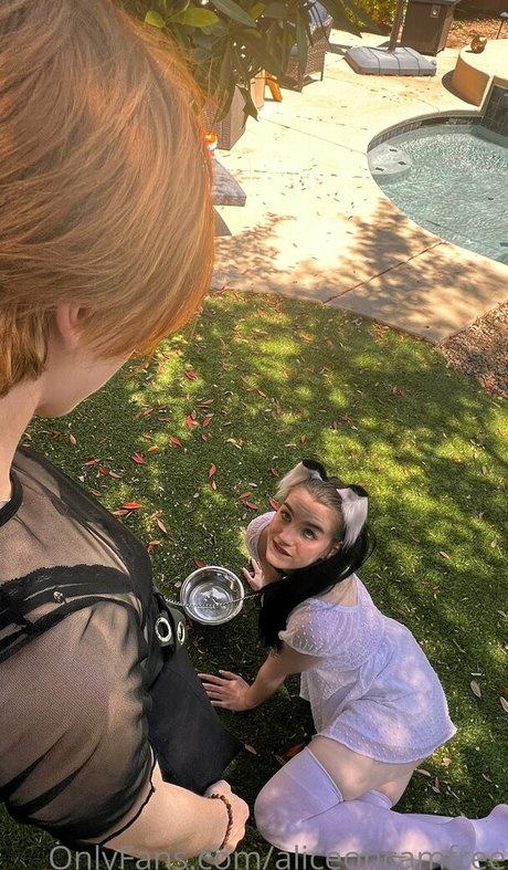 Aliceoncamfree photo 225