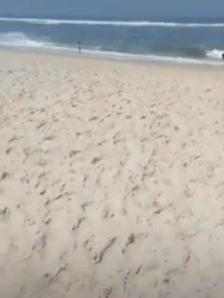 Aline Barreto photo 26