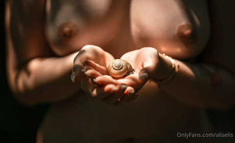 Aliselis photo 353