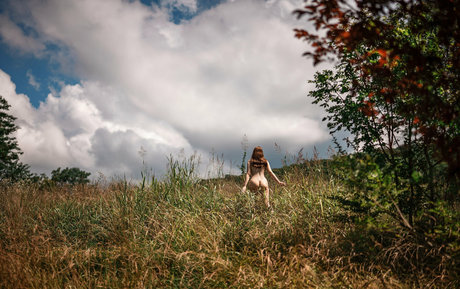Aliselis photo 369