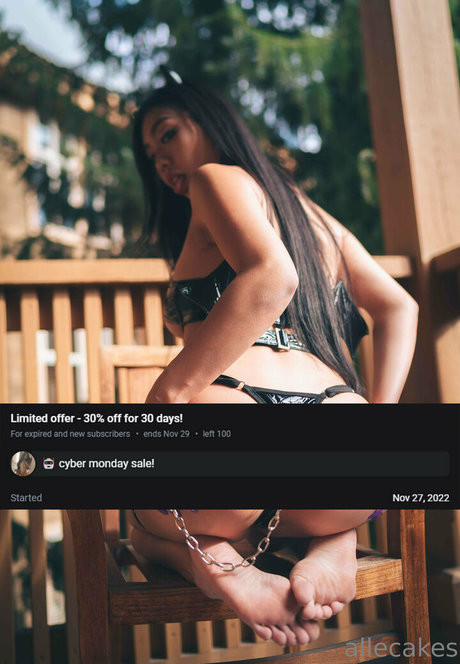 Allecakeslite photo 16