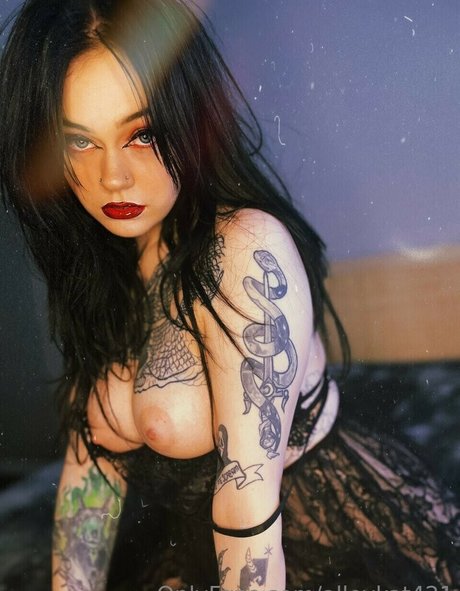Alleykat photo 52