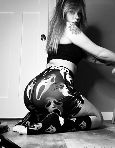 Alleykat photo 116