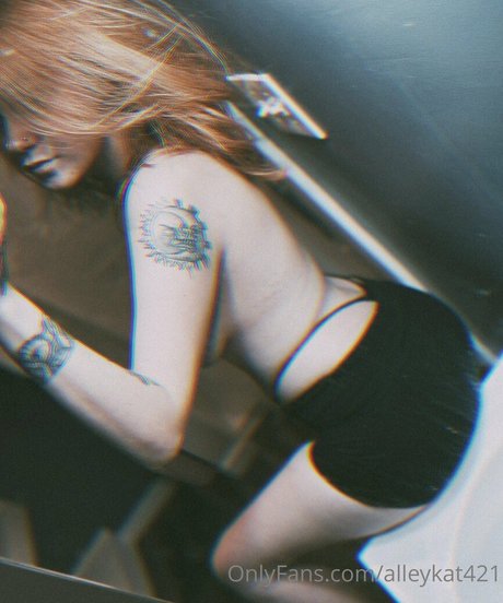 Alleykat photo 135