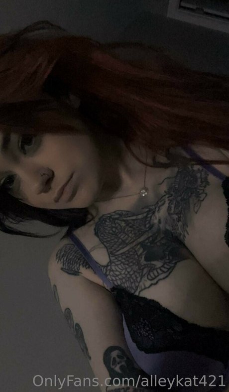 Alleykat photo 161