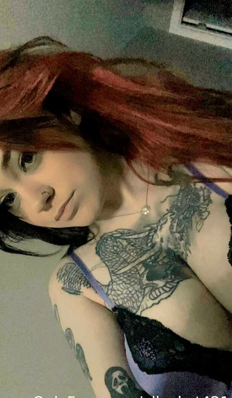Alleykat photo 162