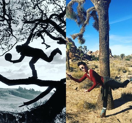 Allison Scagliotti photo 66