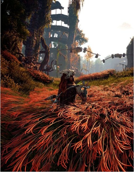 Alloy Horizon Zero Dawn photo 675