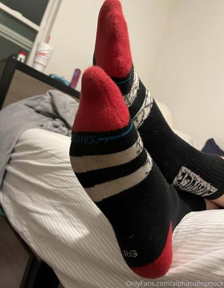 Alphacollegejock photo 4