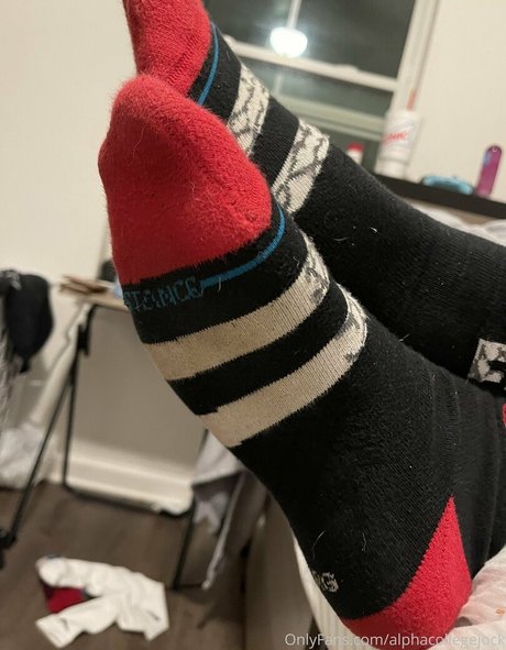 Alphacollegejock photo 5