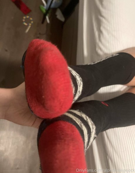 Alphacollegejock photo 55