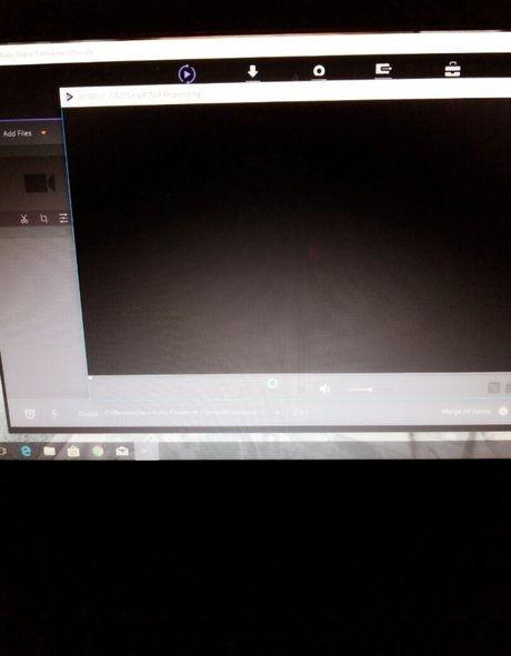 Alurajenson2011 photo 88