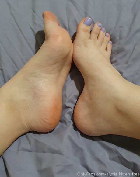 Alyxis_kitten_free photo 7