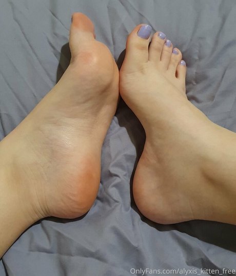 Alyxis_kitten_free photo 8