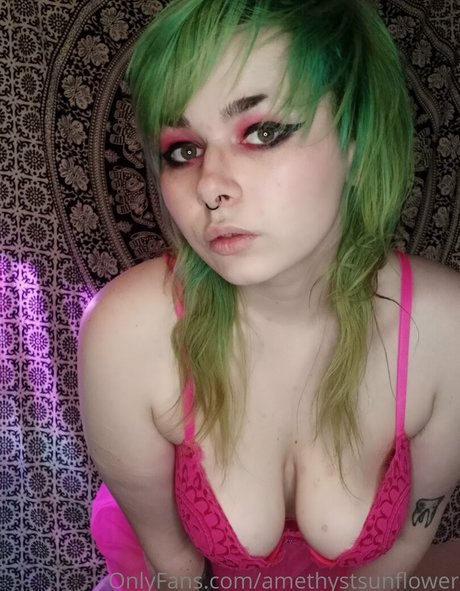 Amethystsunflower photo 2