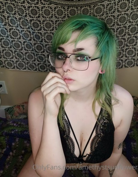 Amethystsunflower photo 11