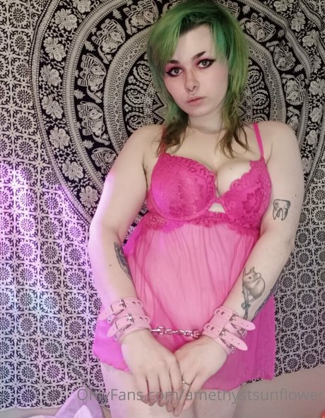 Amethystsunflower photo 22