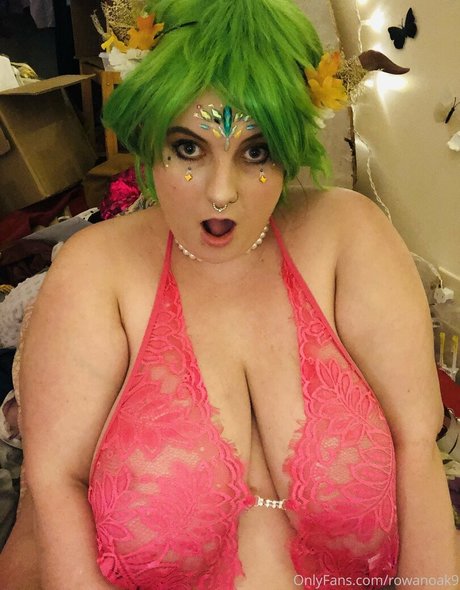 Anarchadyke photo 12