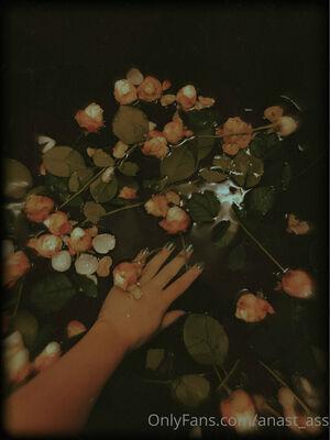 anast_ass11 photo 14