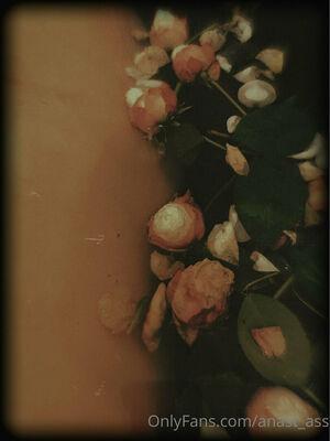 anast_ass11 photo 15