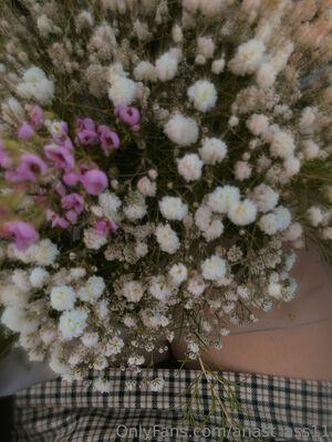 anast_ass11 photo 211