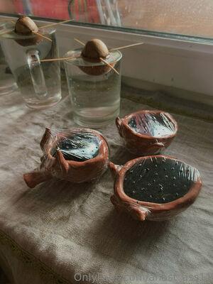anast_ass11 photo 226