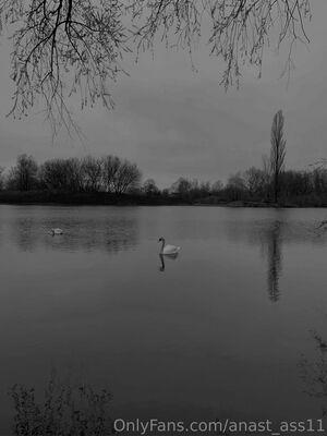 anast_ass11 photo 245