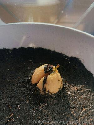 anast_ass11 photo 268