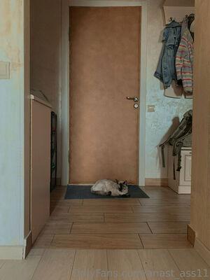 anast_ass11 photo 342