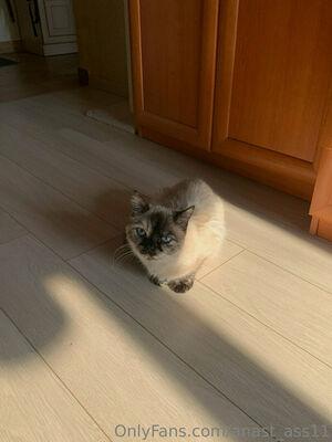 anast_ass11 photo 343