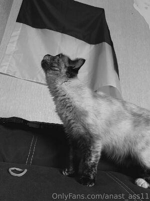 anast_ass11 photo 344
