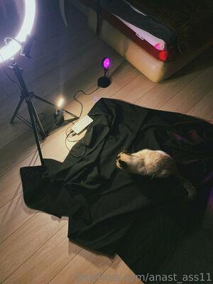 anast_ass11 photo 353