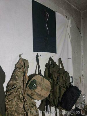 anast_ass11 photo 372